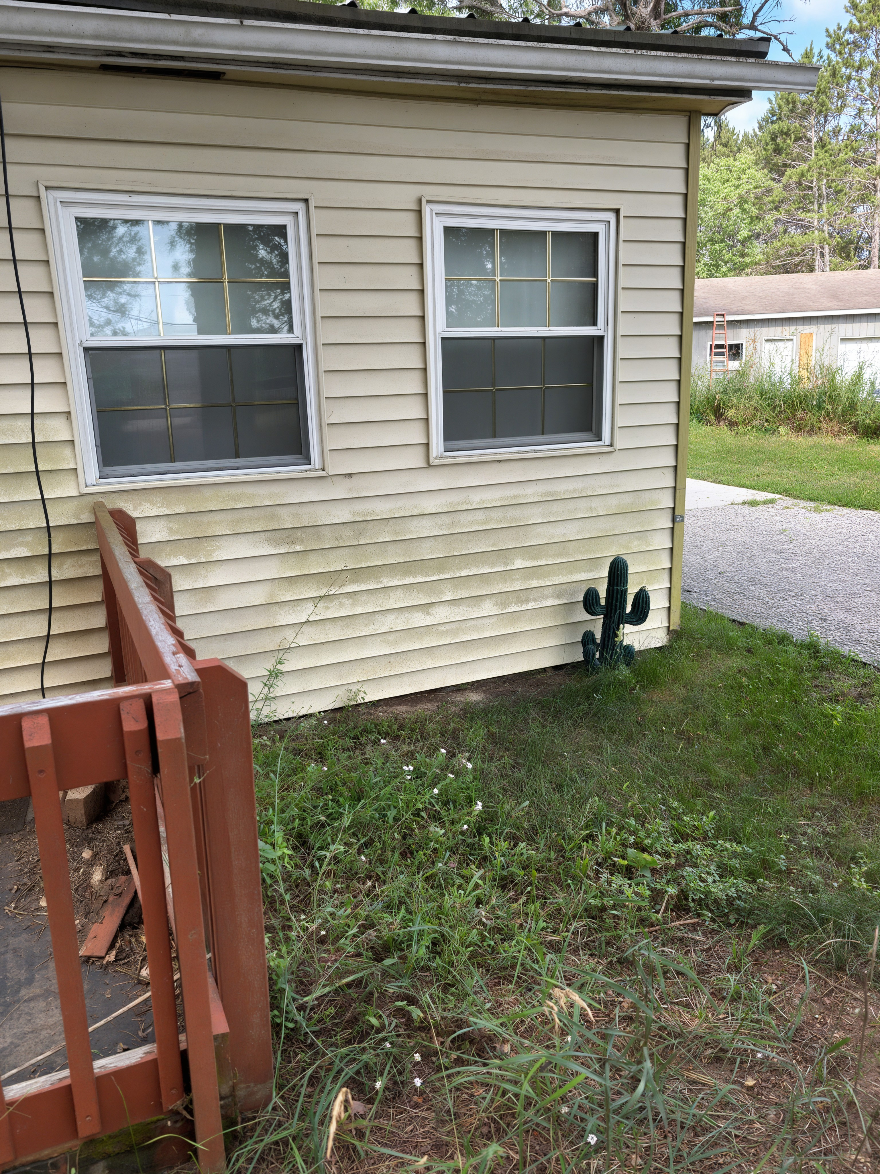 Before: house siding with green algae growth