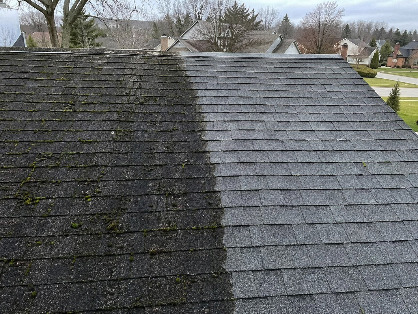Roof soft wash before and after showing clean line on asphalt shingles
